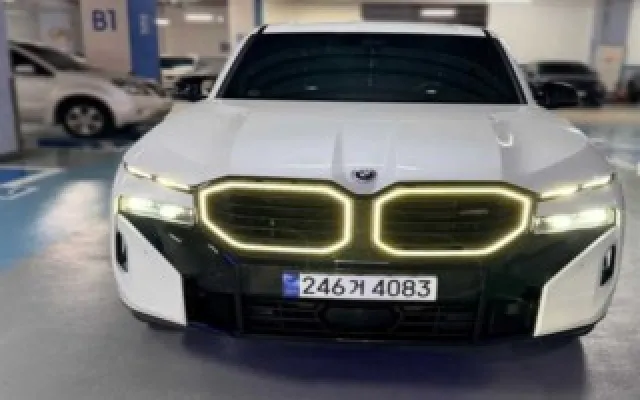 XM (G09) 4.4 V8 PHEV BMW 2024/08 20,909km